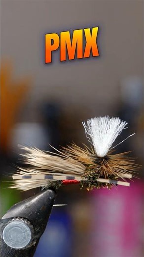 PMX Fly (Not Easy… But Absolutely Worth It)