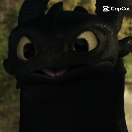 toothless edit (don't ask why it's the same photos)