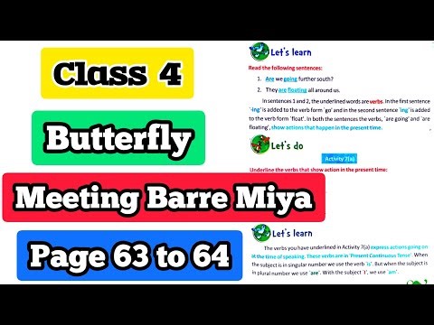 Class 4 English Butterfly - Lesson 5 - Meeting Barre Miya - Page 63 64 - activity 7a 7b 8a 8b