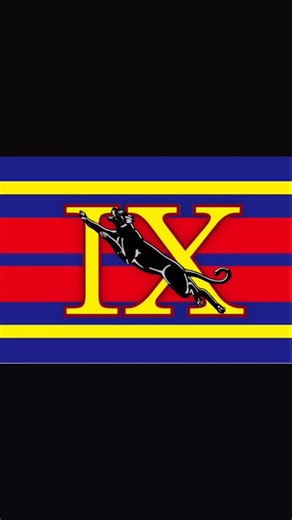 21 reactions | 9RLC Update - WO2 (QMSI) L Brimble RAPTC  9RLC wrap...