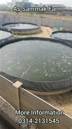 Dream Big, Work Hard, Achieve More | Biofloc Fish Farming