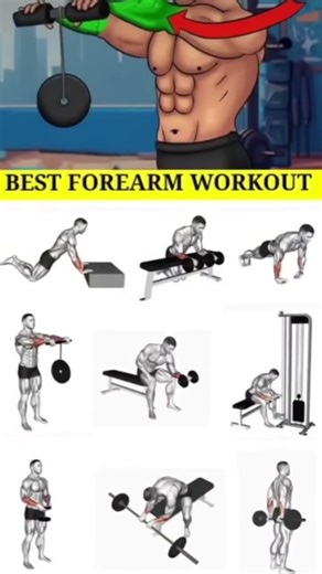 9 Best Dumbbell Forearm Workouts for Insane Forearm Training! 💪 Workouts for Your Forearms