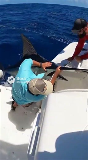 Skybound Fury: The Marlin That Leaped Over the Boat