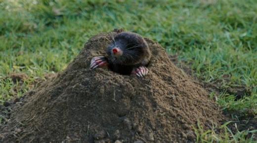 ALDI - Awareness (ending of TVC)