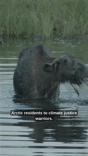 The ocean podcast you'll want to binge!