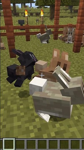 Minecraft Rabbits Got a Full Makeover!