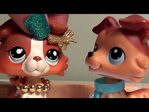 Collie Complications 7: Lockdown My Love