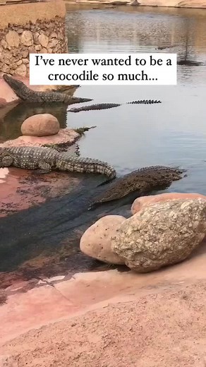 7K views · 117 reactions | Cocomelon - Nursery Rhymes on Reels | Facebook