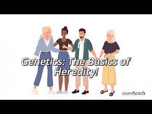 Genetics The Basics of Heredity!