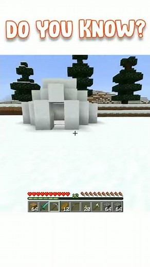 Secret Room Inside Igloo Minecraft (DO YOU KNOW?)