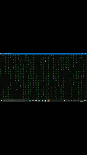 developerx على TikTok