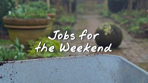 BBC Gardeners World on Reels