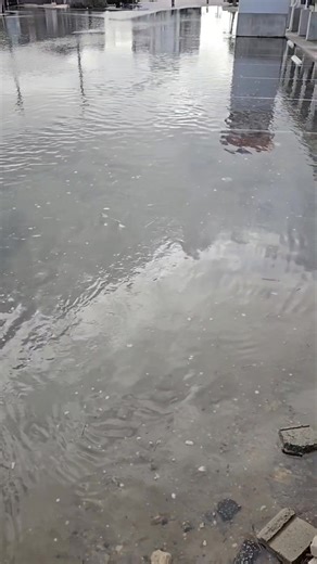 #ocean #hightide | David Gee