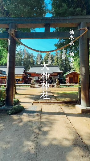 日本最古の神社であり、奈良最強のパワースポットとして知られる「大神（おおみわ）神社」。 その神社の分祀が、栃木県栃木市にあります。 1800年以上前の創建で、栃木では最も古い神社とされており、古来より多くの人々を魅了し続け・崇拝されてきた存在です。下野国総社。旧社格は県社。古くは「下野惣社大明神」「惣社六所大明神」「室八島惣社大明神」などの別称があった。 松尾芭蕉『奥の細道』に登場する境内の「室の八嶋」が知られている。#神社 #神社巡り #神社仏閣 #御朱印 #寺 #temple #shrine #観光 #おすすめ #人気