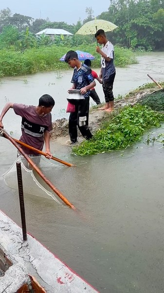 Traditional Net Fishing in Heavy Rain Current | Village Life #fishing
