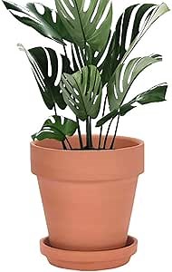 Amazon.com: 10 Inch Clay Pot for Plant with Saucer - 1 Pack Large Terra Cotta Plant Pot with Drainage Hole, Clay Planters Pot, Terracotta Pot for Indoor Outdoor Plant : Patio, Lawn & Garden