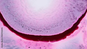 Exploring a stunning abstract view of vibrant patterns under bright lighting in a laboratory setting