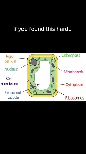 #biology #biologytok #biologyfunfact #biologystudent #ShowYourGreatness #biologyalevel