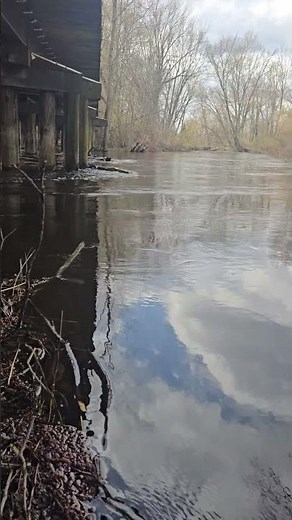 Pine River Michigan — Water Rushing Under a Historic Wooden Bridge in Gratiot Cnty #pineriver #water
