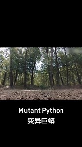 The giant python, which had been feigning unconsciousness, opened its eyes! #变异巨蟒 #MutantPython #优酷电影 #youkumovie | Youku Movie