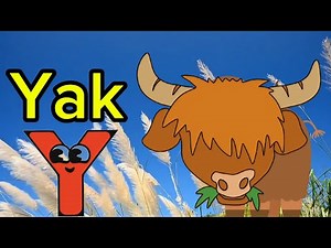 A wonderful adventure with the letter Y