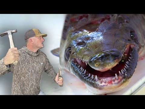 This Fish was SO Dangerous I had to Slow Him Down With a HAMMER {Catch Clean Cook} Outside the Levee