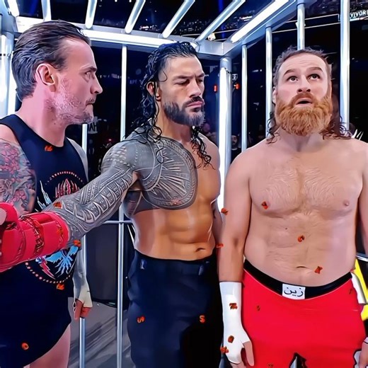 roman reings vs cm punk #wwe #ytshorts #ytshorts #wrestling #viral vedio