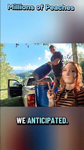 Behind the scenes of Moonshiners getting peaches for brandy