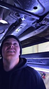 Cat Rescued By Mechanic After Getting Stuck in A Van's Exhaust For Hours