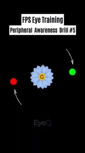 FPS Eye Training: Peripheral Awareness Drill #5