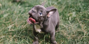 Quiz: Can You Pass This Quiz On Nouns?