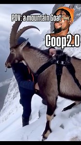 1.4M views · 40K reactions | Lmao we gone 藍藍 Funny animal voiceover by Coop2.0 | Coop 2.0 | Facebook