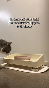 ⭐⭐⭐⭐⭐ "My cats love all the flavours and can't get enough of it. My fussy kitty now eats everything as long as she gets her topper - Scott" ⭐⭐⭐⭐⭐ "My fussy cat has started eating again. She loves the product, it has really helped. Thank you - Maggie" ⭐⭐⭐⭐⭐ "All my cats adore this product, even got the fussy kids eating food they wouldn’t touch before Highly recommend - Bec K" If your cat is a fussy eater, give this a try... | Cat Snacks