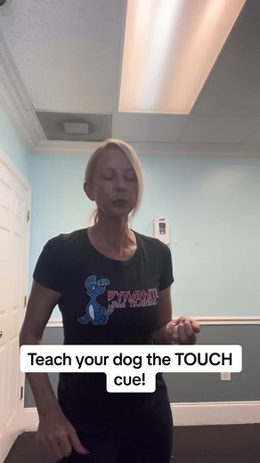 Teach Your Dog the Touch Cue!