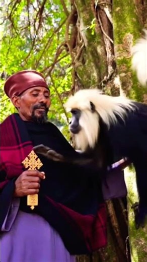 ጉሬዛ ይፆማል ! Common animals found in Ethiopian monasteries #ጾመ_ነቢያት #kalehiwot #ethiopianorthodox