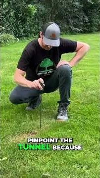 Top Mole Traps: Victor vs. Gopher Hawk Comparison #shorts