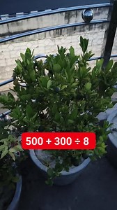 112K views · 486 reactions | Solve it Math Test Solution | M Mathematics | Facebook