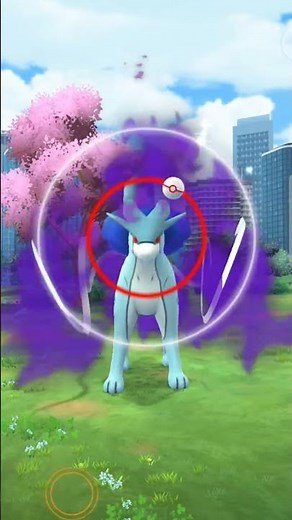 Shiny Shadow Suicune Encounter/Le rencontre de Suicune Shiny l'ombre!