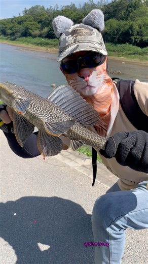 Have you ever seen this kind of evil fish? #outdoors | Nico Deng