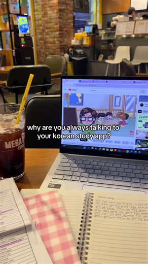 Maximizing Korean Learning with Bunpo App