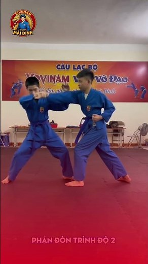 Phản đòn đấmn thẳng trình độ 2 | Vovinam Mãi Đỉnh #vovinam #vovinamvietvodao #vietvodao #vothuat