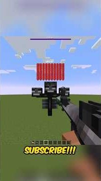 How Many BULLETS Does It Take To Kill the WITHER ?
