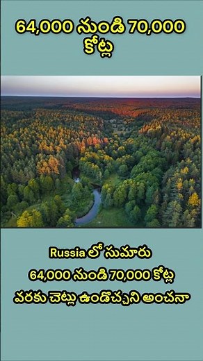 😲 640–700 Billion Trees in Russia? World Facts 🌍