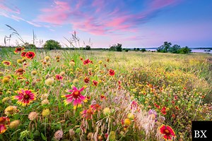 Texas Credit Services Organization Bond: A Comprehensive Guide