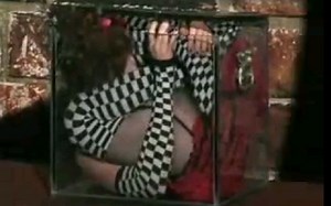 【柔术表演】Bonnie Morgan柔术（含钻箱，前折，钻网球拍等）