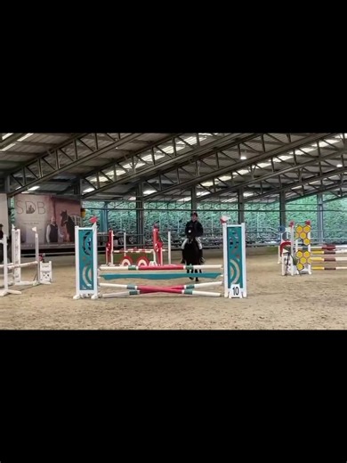 Finn en Booster sprongen naar een 1ste plaats in CB80 op het provenciaal kampioenschap 🤩 hun lint is behaald ! 👌