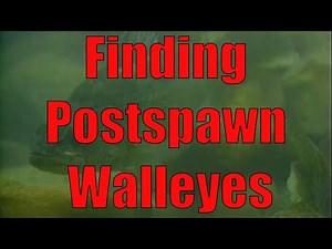 In-Fisherman Classics: Where to Find Postspawn Walleyes