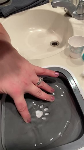 Watch How it works on Amazon Live