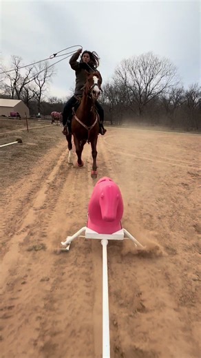 i say roping practice went well i’m hoping after this winter weather this weekend i can start roping calf’s here soon! iceman worked great as always🙌🏽 #futurebreakawayroper #bigdreams #godisgood #blessed #trustingod @Chloe Hellams said to post🙃