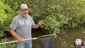 77 reactions · 54 shares | In this episode, SCC Biology Instructor...